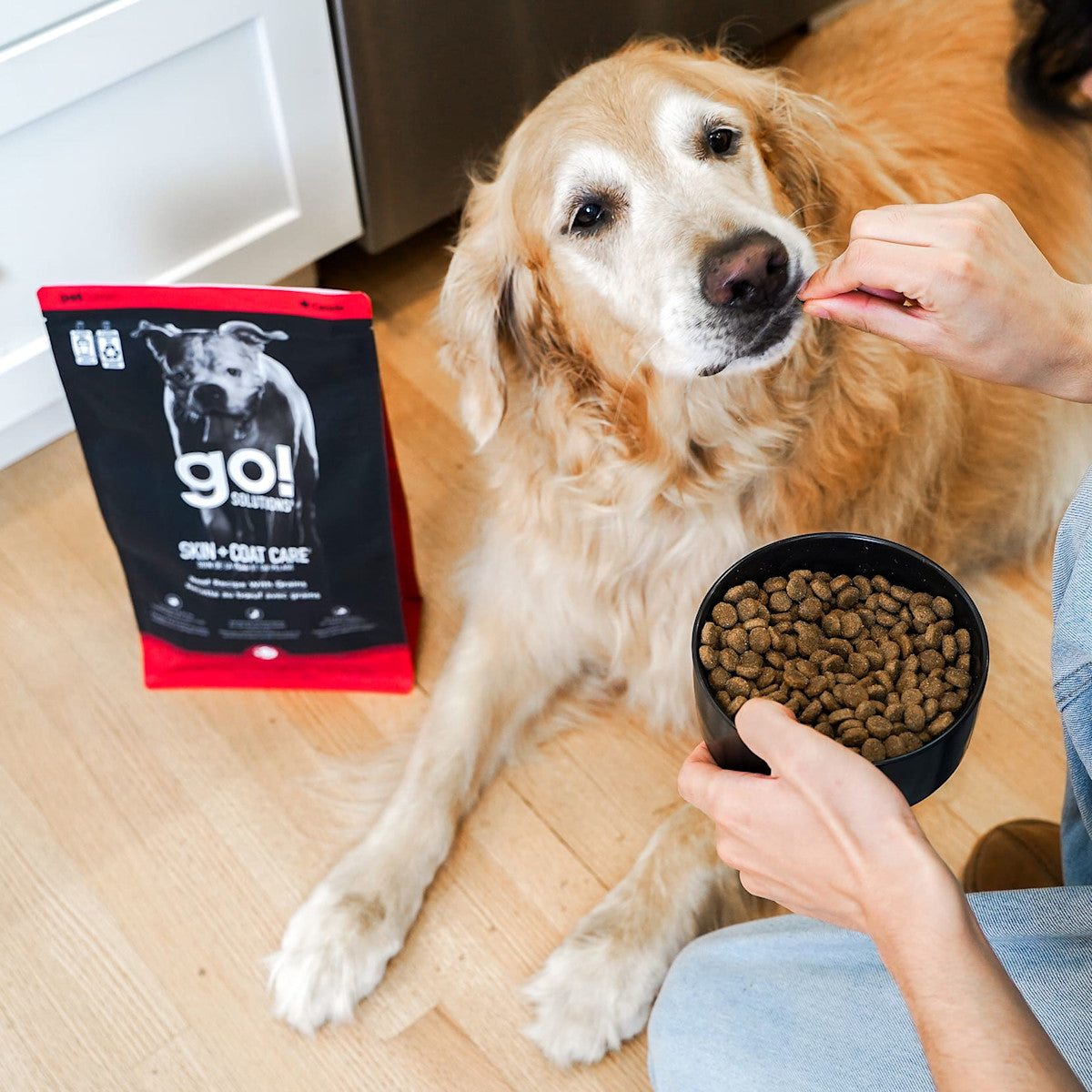 Go! Skin + Coat Care Beef Recipe With Grains Dry Dog Food - 3.5lb