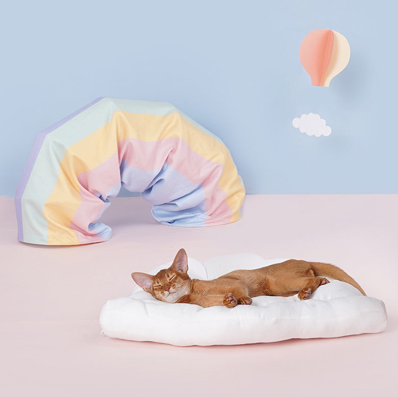 Zeze Rainbow Tunnel Cat Bed & Toy