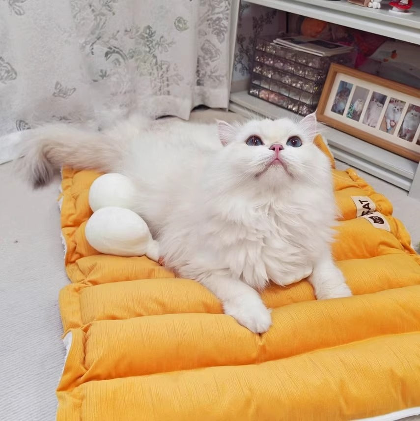 神经猫 宠物猫窝隧道窝 玩睡一体秋冬加厚款猫床猫咪垫子 卡通大眼睛猫隧道 两色可选