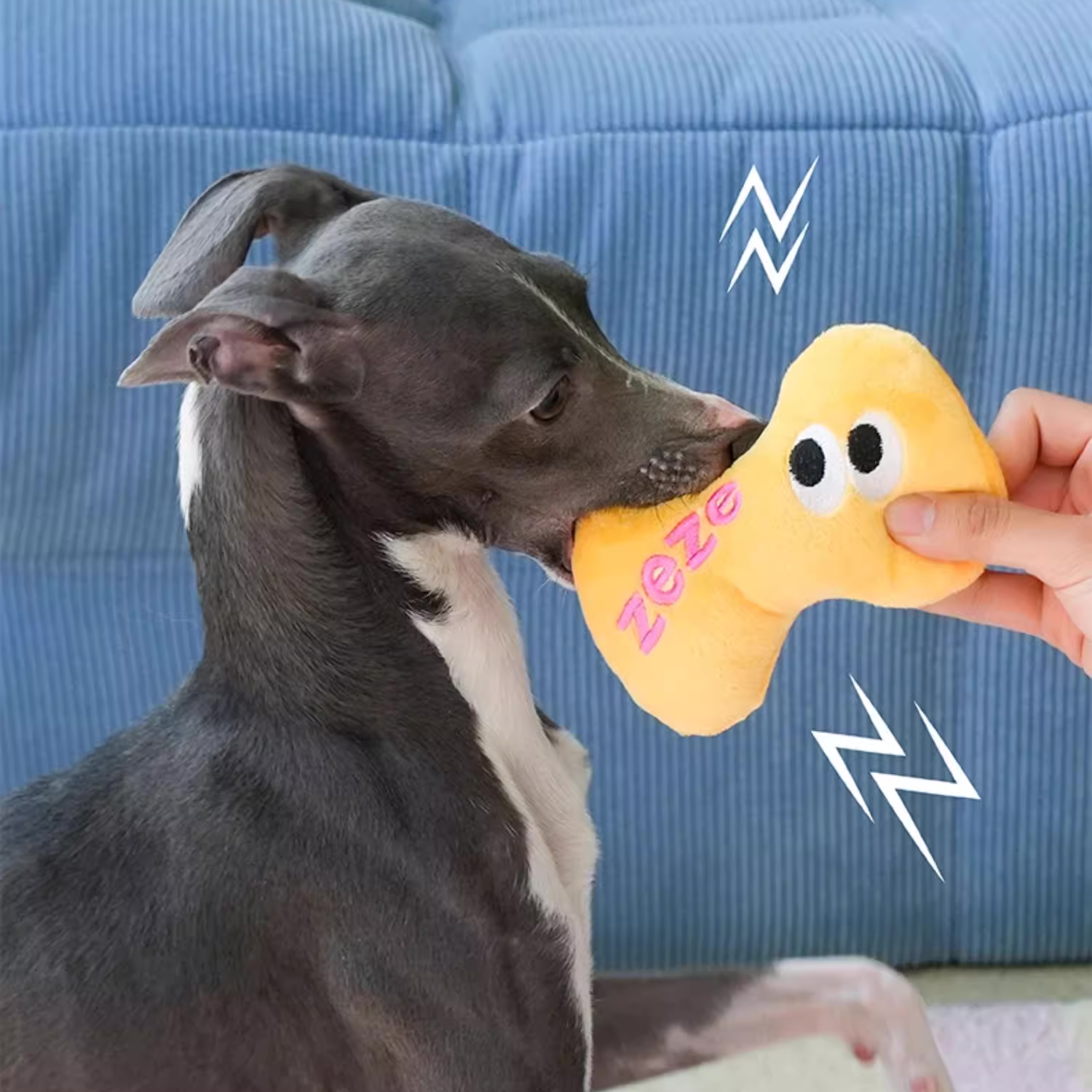 Zeze 狗狗藏食嗅闻垫 自嗨解闷发声闻嗅毯 漏食小狗宠物益智玩具 洗澡澡嗅闻垫