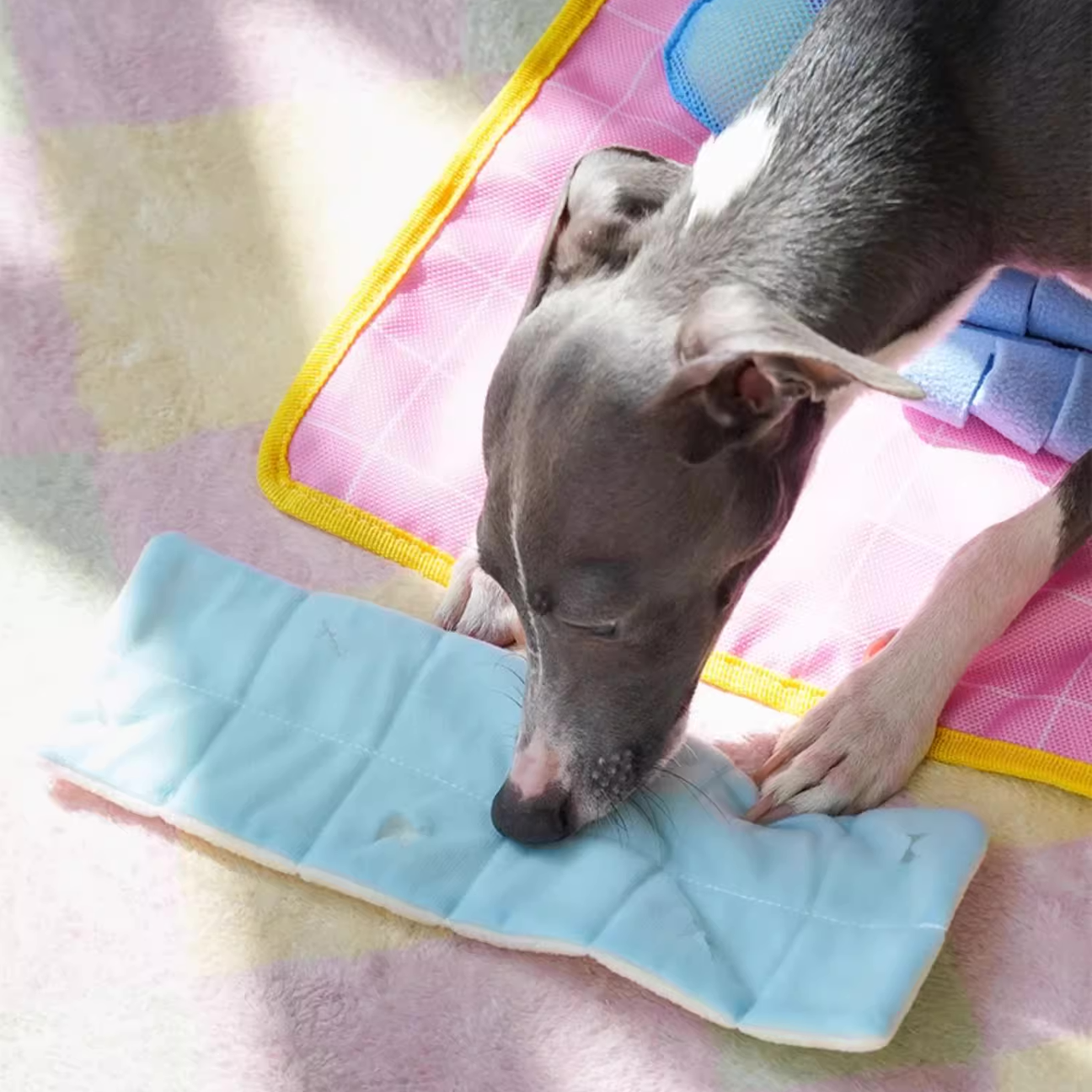 Zeze 狗狗藏食嗅闻垫 自嗨解闷发声闻嗅毯 漏食小狗宠物益智玩具 洗澡澡嗅闻垫