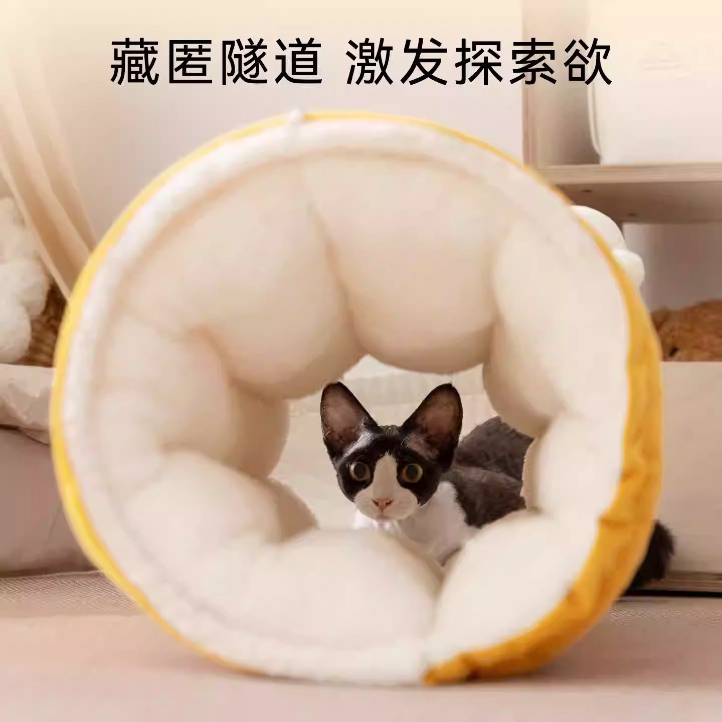 神经猫 宠物猫窝隧道窝 玩睡一体秋冬加厚款猫床猫咪垫子 卡通大眼睛猫隧道 两色可选