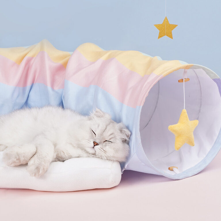 Zeze Rainbow Tunnel Cat Bed & Toy