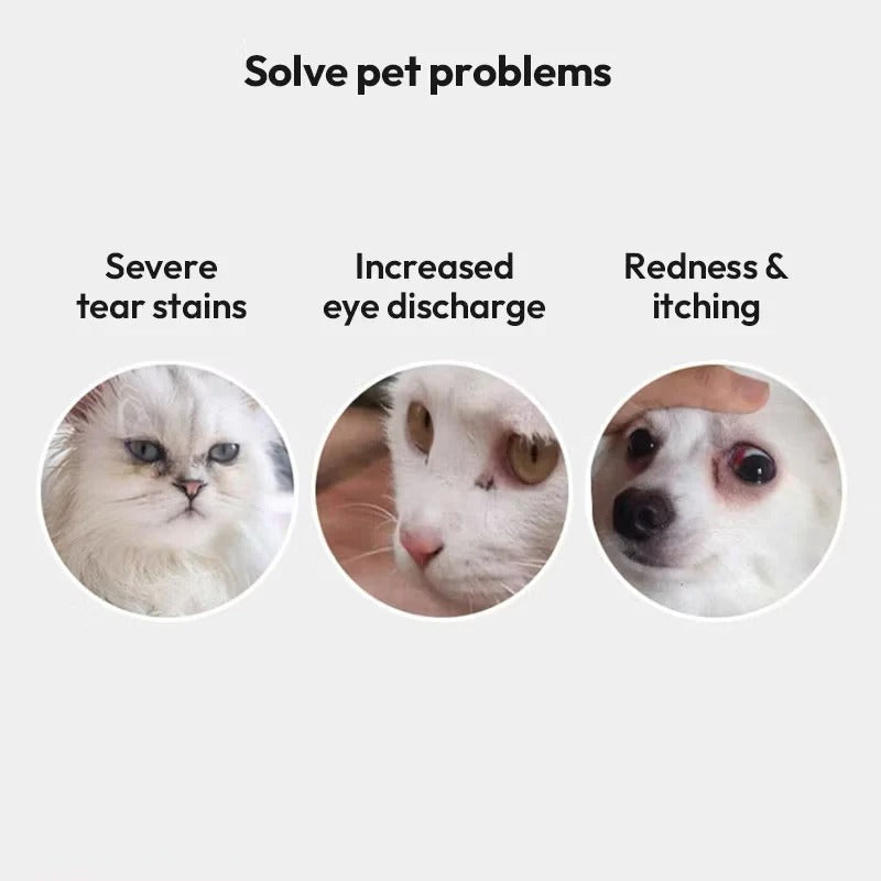 Kojima 宠物去泪痕湿巾 120片 犬猫通用