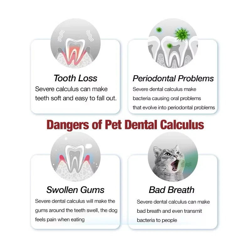 Kojima Pet Teeth Cleaning Kit - Tartar Removal Kit