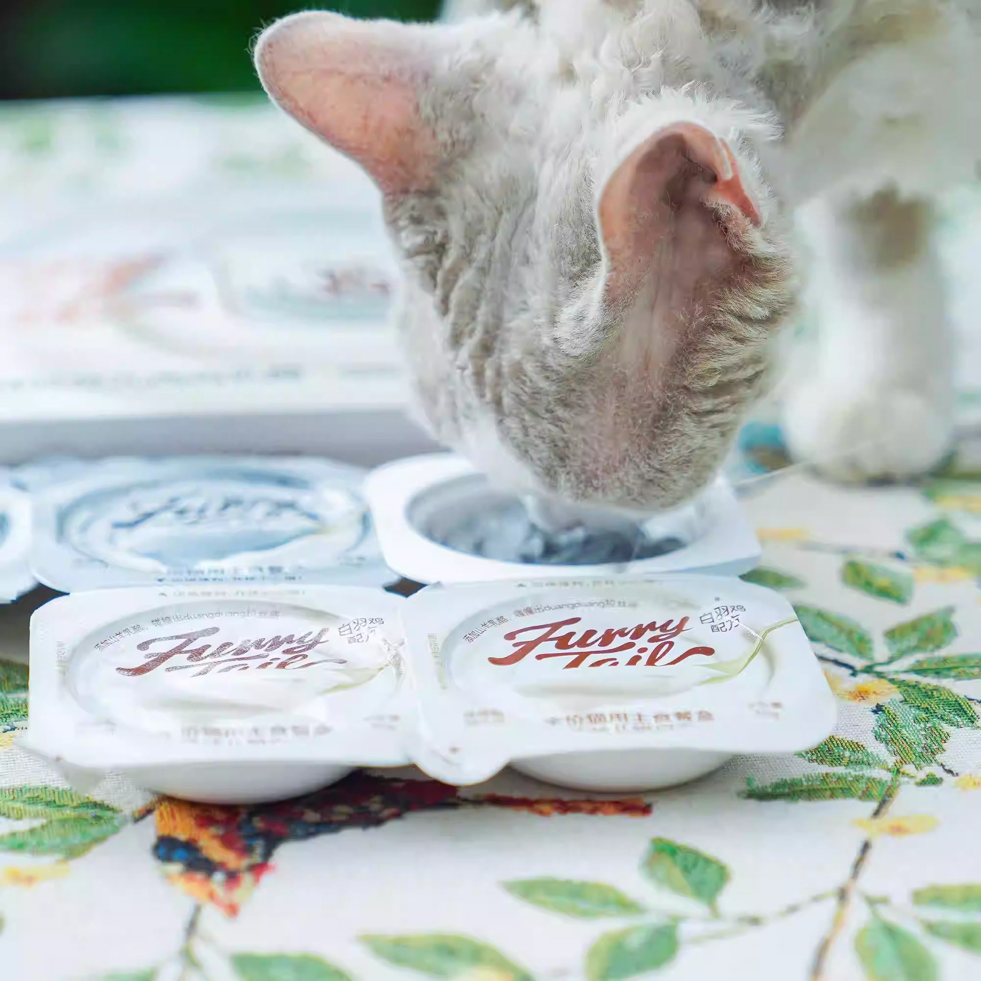 Furrytail尾巴生活 灰白泥猫主食餐盒 白羽鸡+乌骨鸡黑芝麻 两口味混合装 一盒35g*6罐