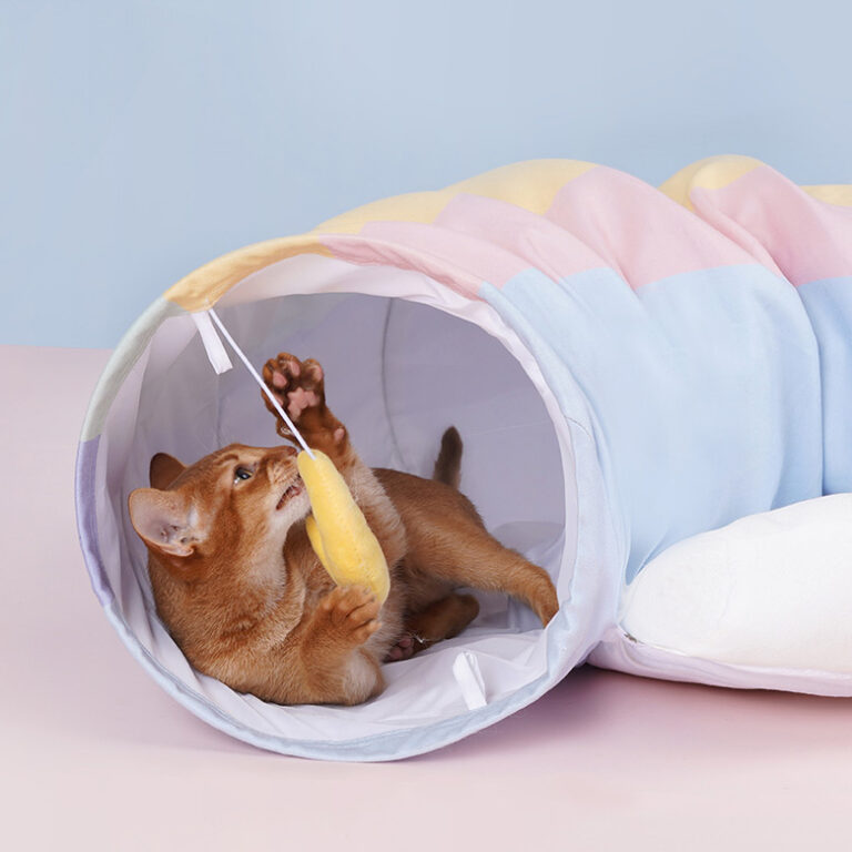 Zeze Rainbow Tunnel Cat Bed & Toy