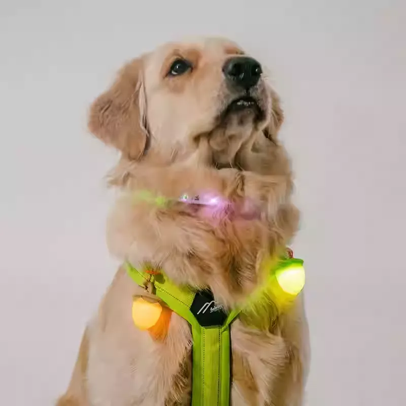 Laroo LED Dog Collar Light – Safety Pendant for Dogs