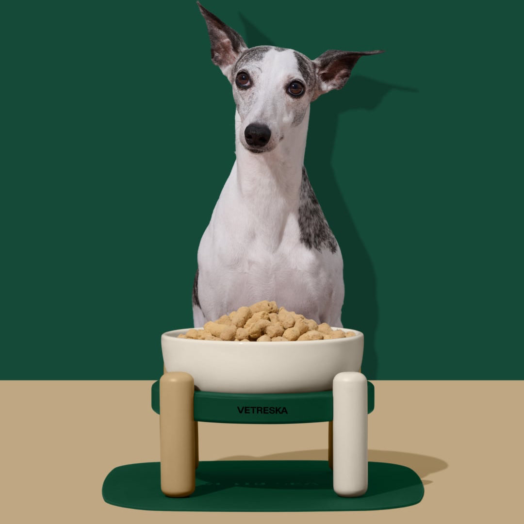 Vetreska未卡 静谧森林 宠物陶瓷碗垫套装猫碗狗碗猫食盆 猫用犬用 两种尺寸可选