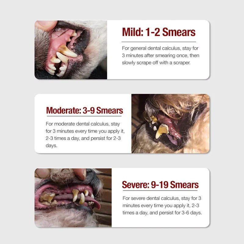 Kojima Pet Teeth Cleaning Kit - Tartar Removal Kit