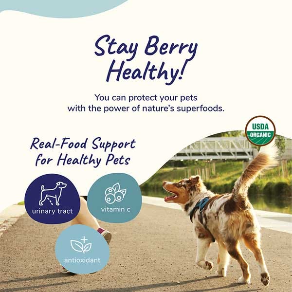 Kin + Kind Organic Healthy Immunity Supplement For Dog & Cat - 4oz