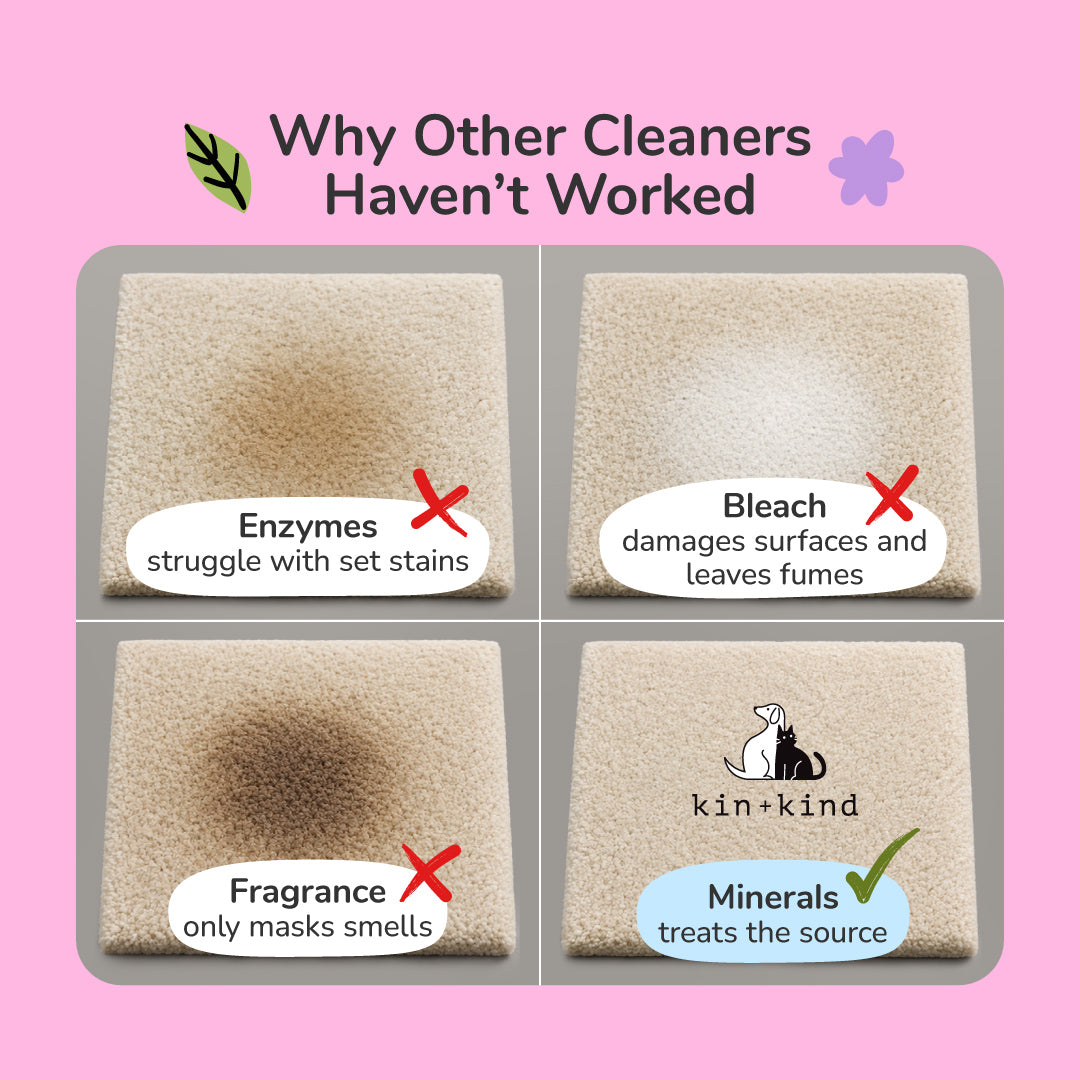 Kin + Kind Pee+Stain+Odor Destroyer (Hardwood + Floor) - Citrus - 32oz