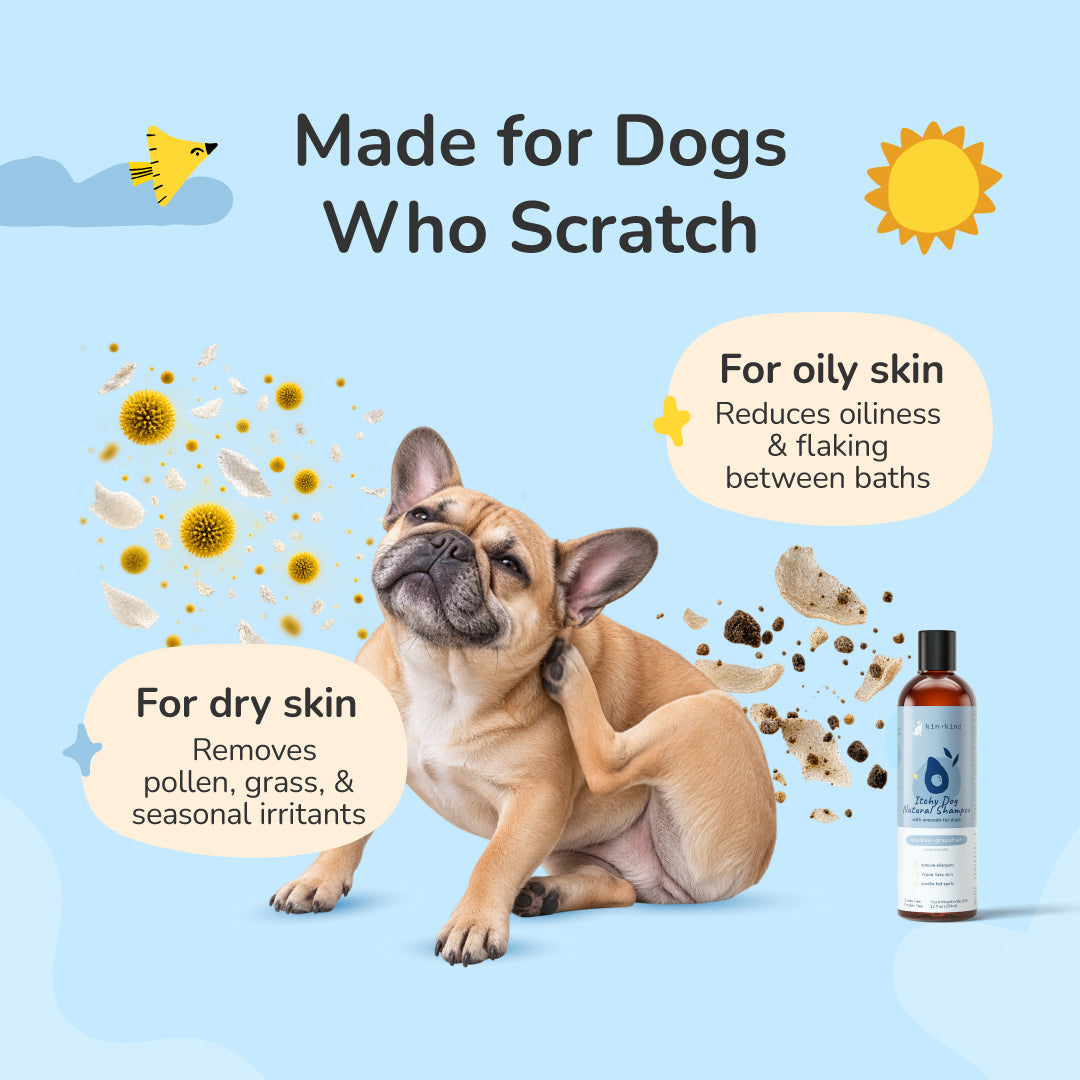 Kin + Kind Itchy Dog Shampoo - Tea Tree + Grapefruit - 12oz