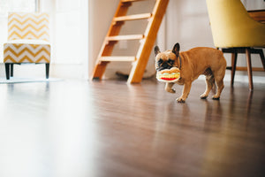 Pet Play International Classic Tail Waggin' Taco For Dog