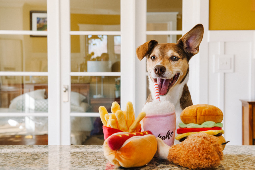 Pet Play Plush Toy Classic Fried Chicken For Dog