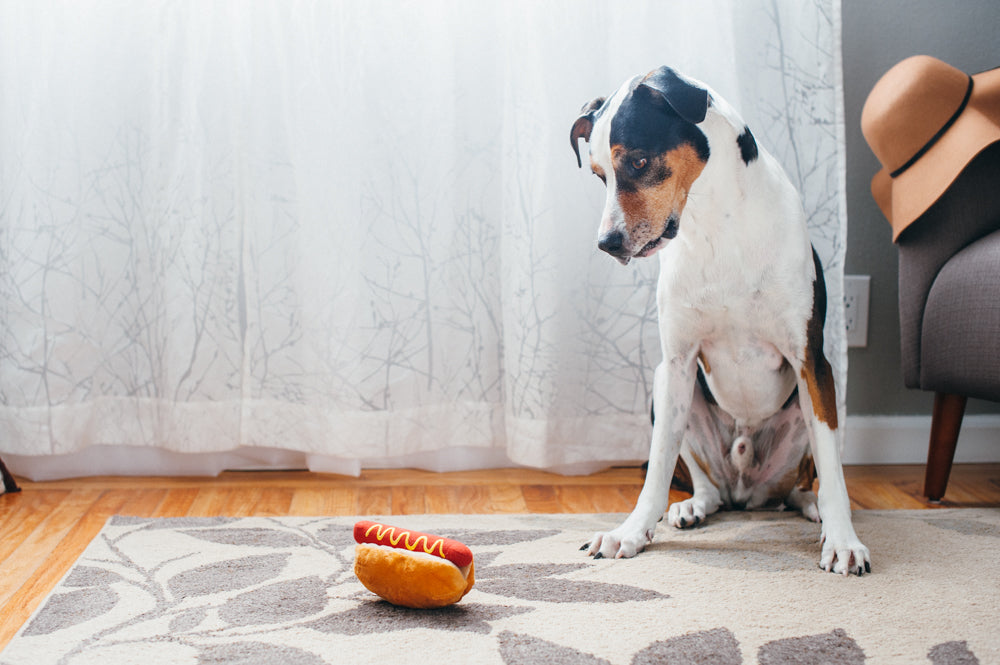 Pet Play American Classic Hot Diggy For Dog