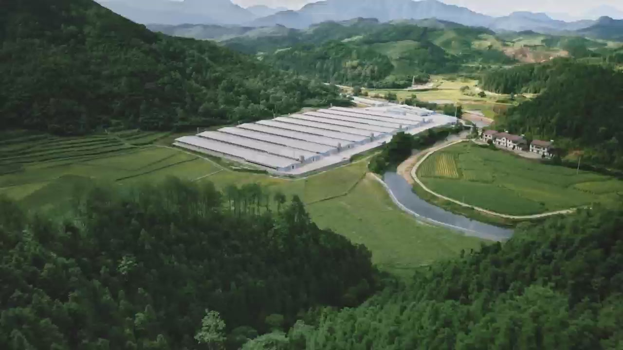 Rosy Fresh Chicken Recipe All Life Stage Baked Cat Dry Food