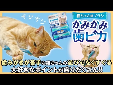 Cattyman Playful Cat Toothbrush Toy