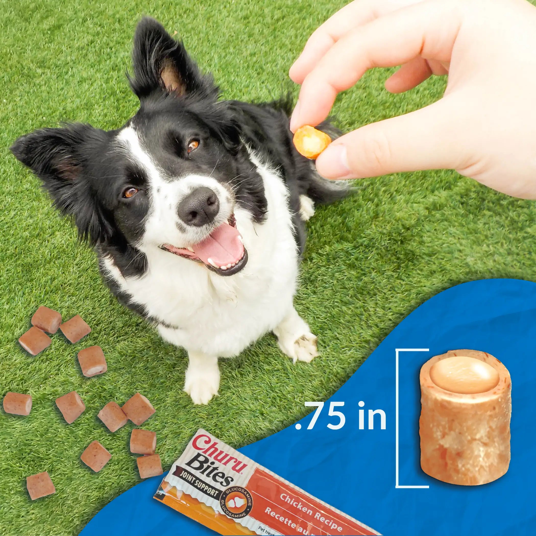 Inaba Churu Bites Joint Support for Dog -  Chicken with Cheese Recipe