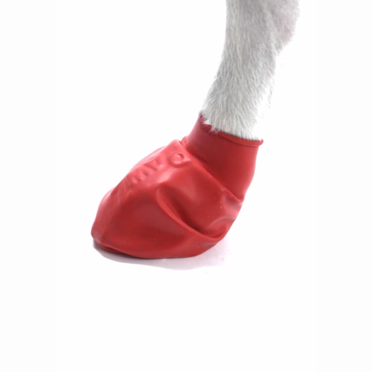 PawZ Rubber Dog Boots for Small Paws