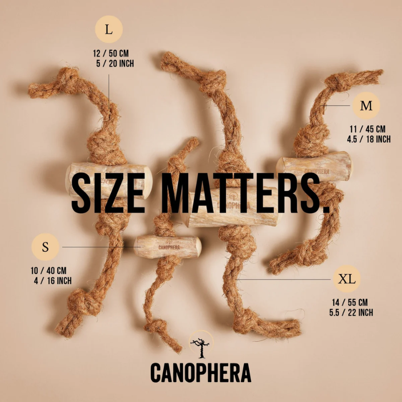 Canophera Dog Wood Chew with Coconut Rope