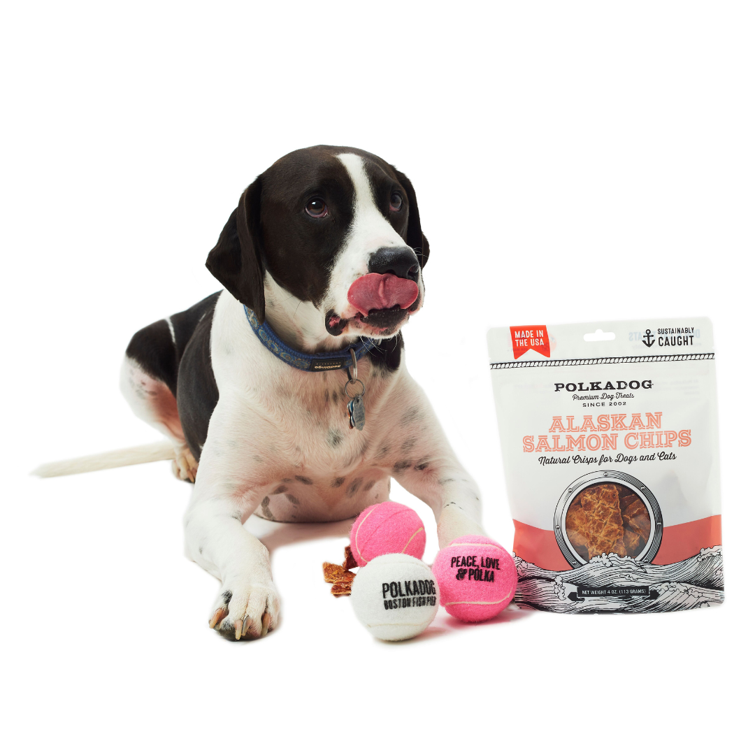 Polkadog Alaskan Salmon Chips For Dog