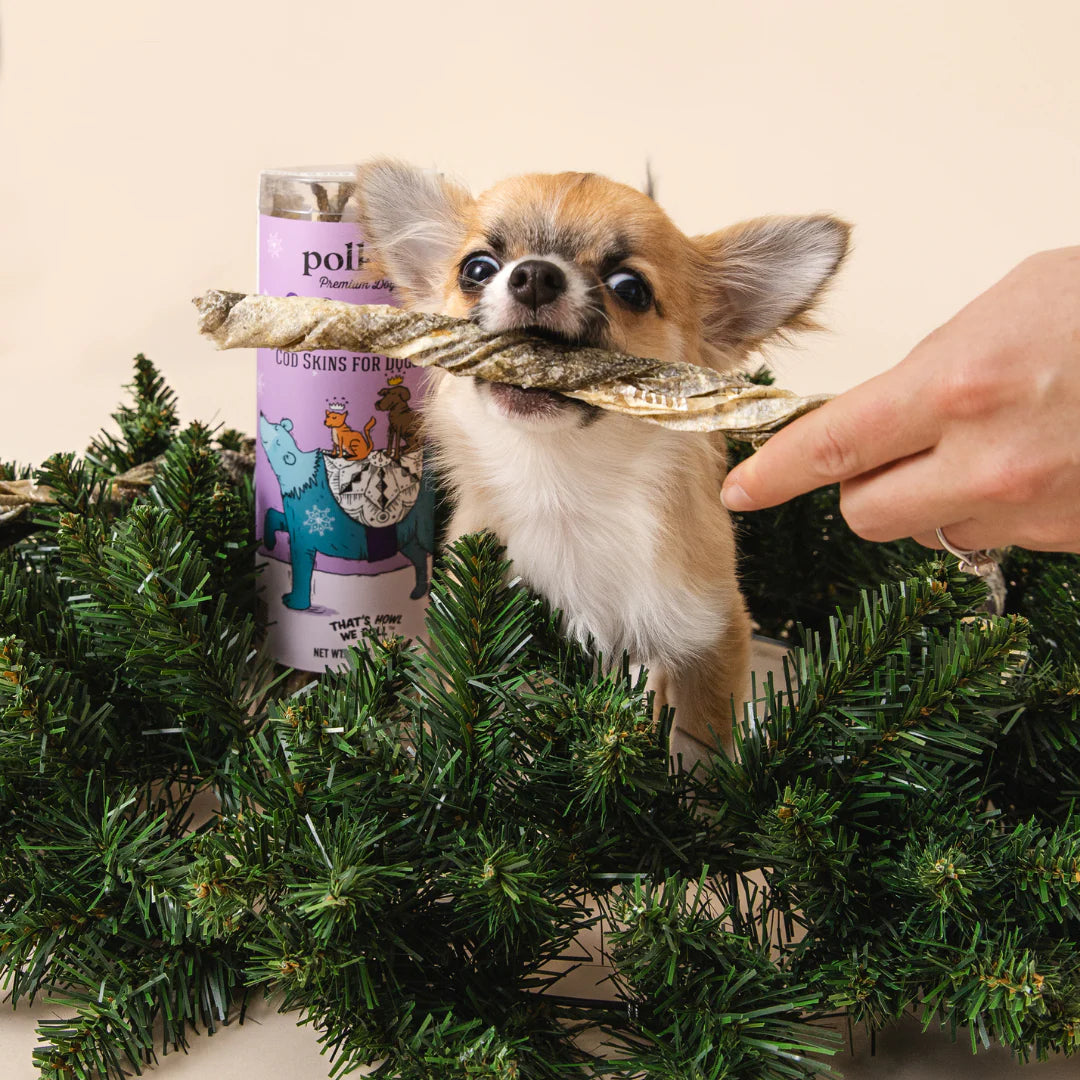 Polkadog Xmas Limited Edition Silver & Gold Cod Skin Treats For Dog & Cat