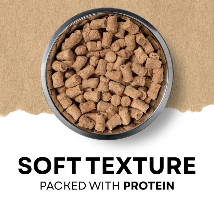 Vital Essentials Freeze-Dried Raw Beef & Salmon Soft Nibs For Dogs