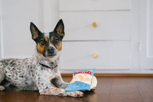 Pet Play Snack Attack Fluffles Chips For Dog