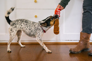Pet Play Snack Attack Good Boy Cola For Dog