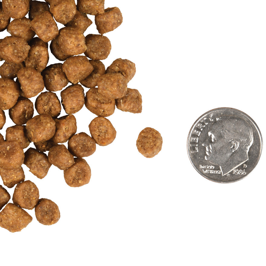 Fromm Gold Indoor Cat Food Chicken