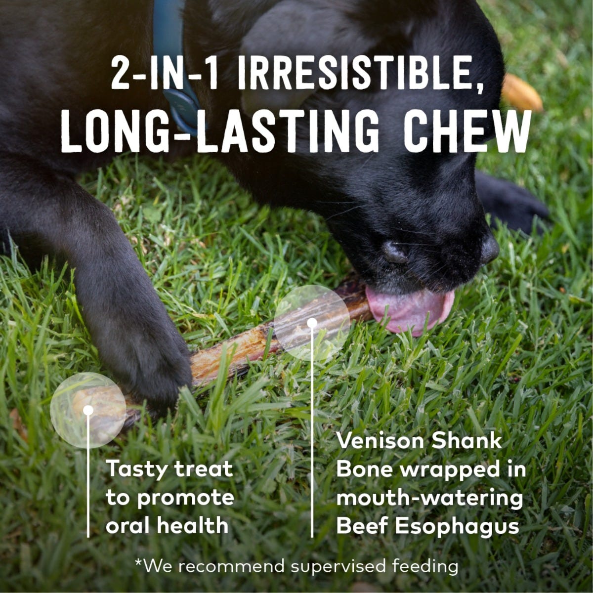 ZIWI Dog Chews & Treats - Venison Shank