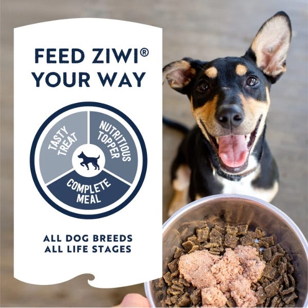 ZIWI Original Series Wet Dog Food - Beef Recipe